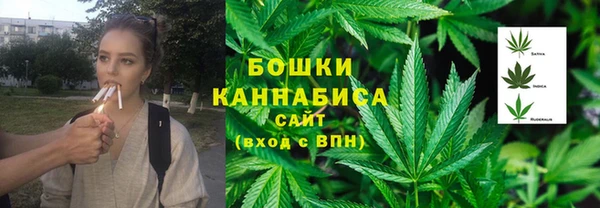 тгк Арсеньев