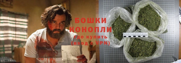 тгк Арсеньев