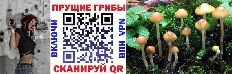 Галлюциногенные грибы GOLDEN TEACHER  Купить закладки  Заинск 